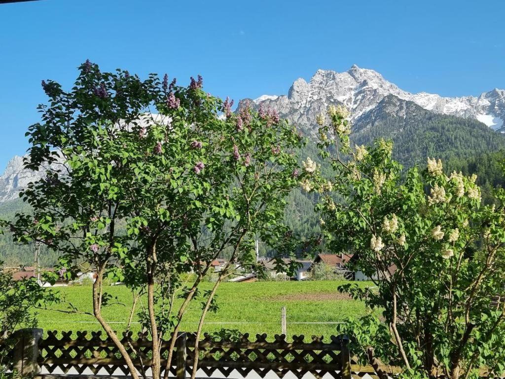 80 M2, Fuer Bis 6 Personen Mit Tollem Skigebiet, Zentral Und Doch Ruhig ไวดริง ภายนอก รูปภาพ